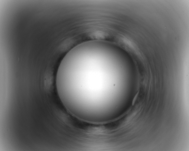 X0000088640548200706011205