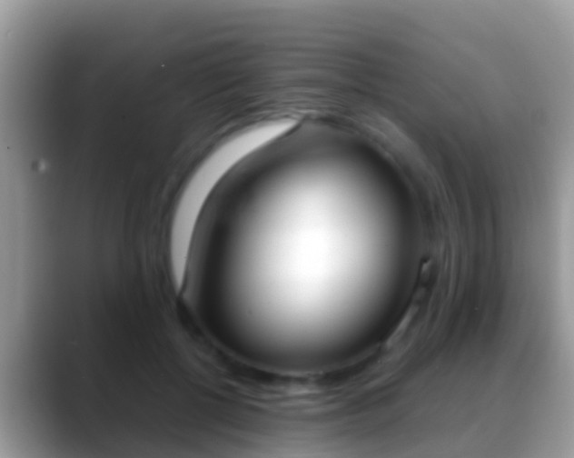 X0000088640552200706011205