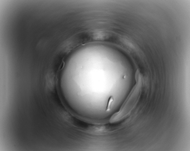 X0000088640554200706011205