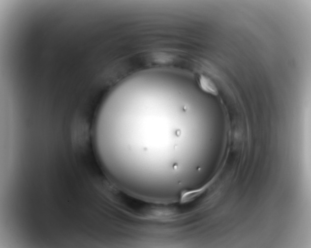 X0000088640555200706011205
