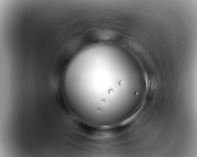 X0000088640559200706011205