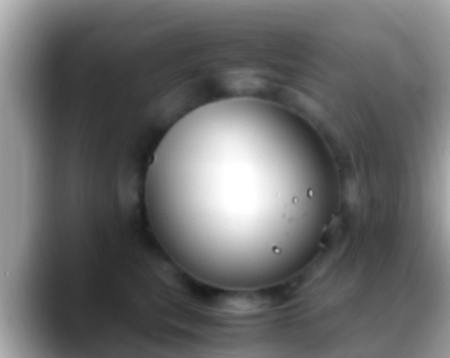 X0000088640567200706011205