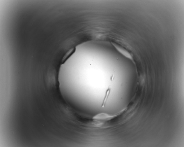 X0000088640570200706011205
