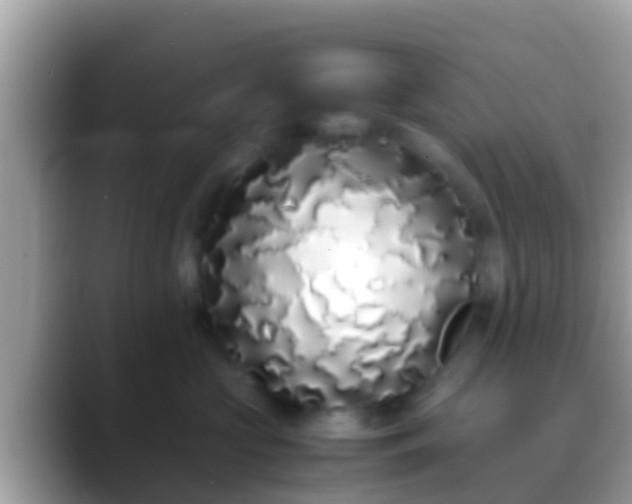 X0000088640573200706011205