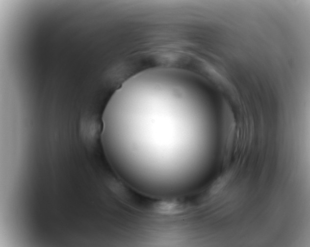 X0000088640574200706011205