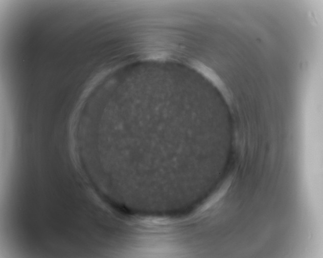 X0000088640577200706011204