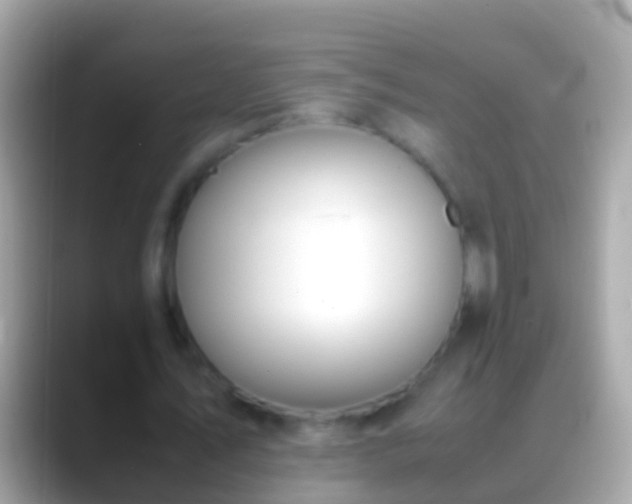 X0000088640579200706011204