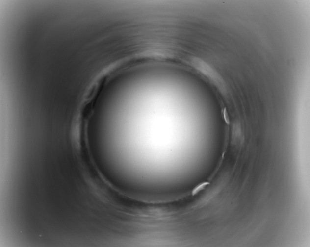 X0000088640580200706011204