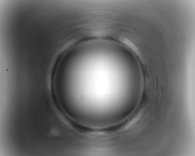 X0000088640581200706011204