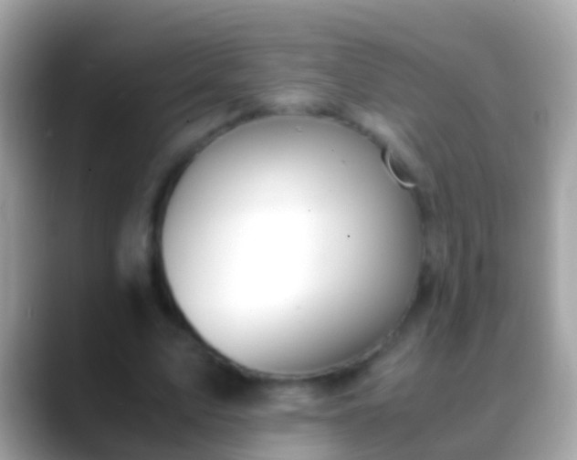 X0000088640583200706011204