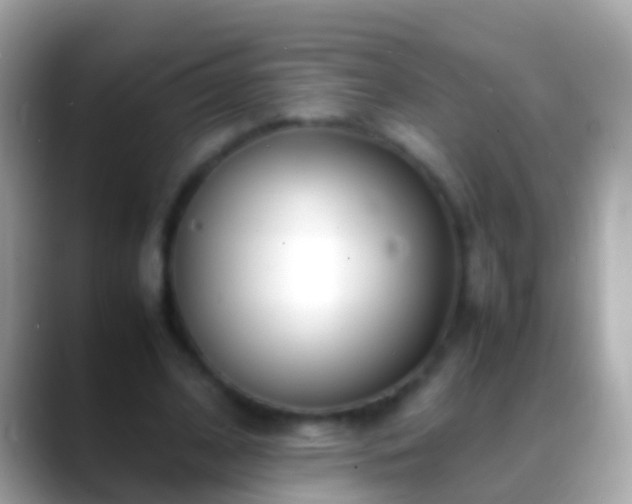 X0000088640584200706011204