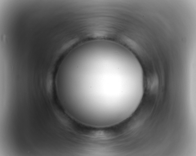 X0000088640588200706011204