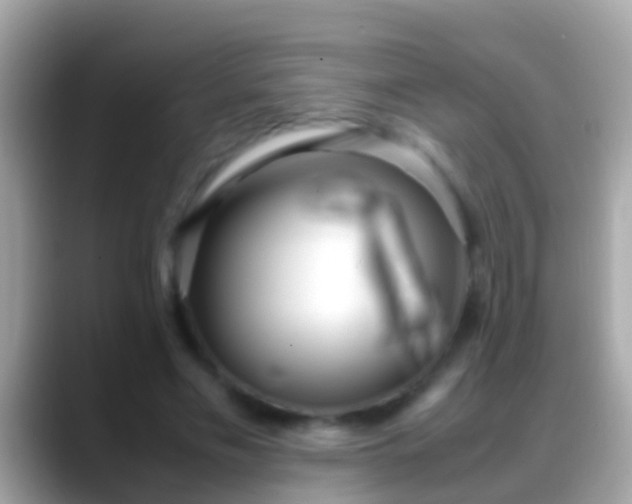 X0000088640589200706011204