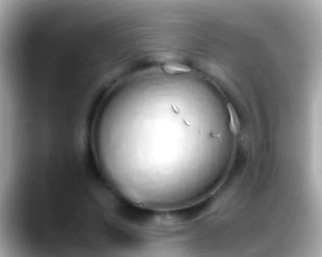 X0000088640591200706011204