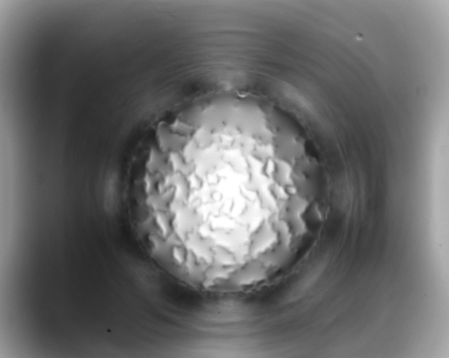 X0000088640594200706011204