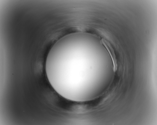 X0000088640595200706011204