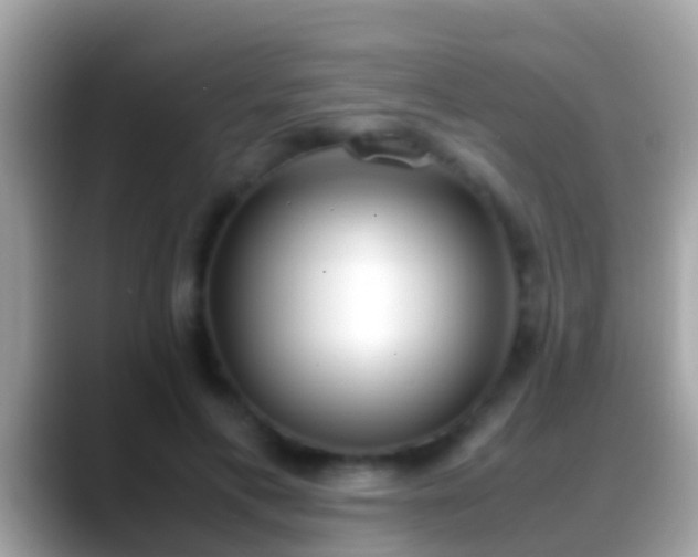 X0000088640597200706011204