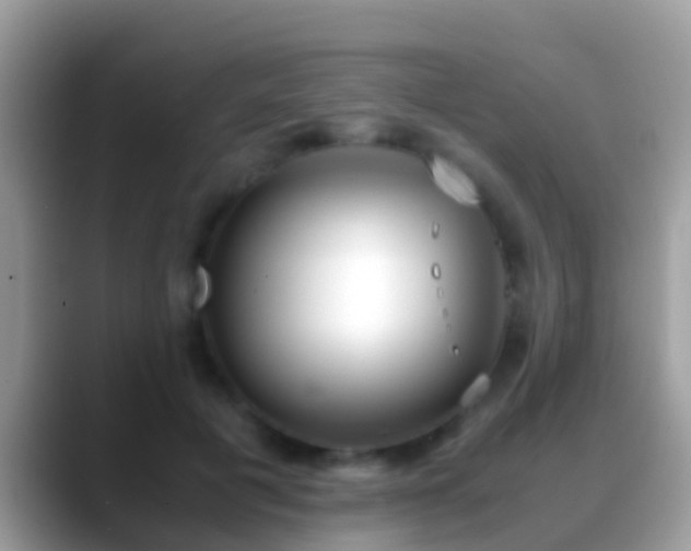 X0000088640601200706011204