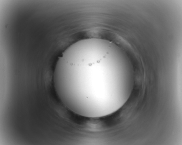 X0000088640603200706011204