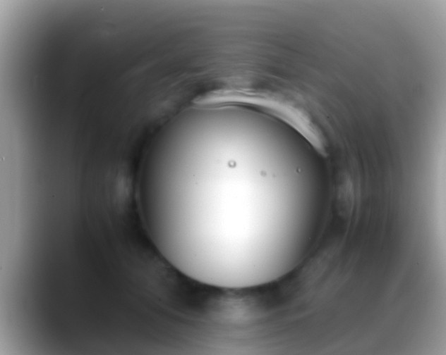 X0000088640608200706011204