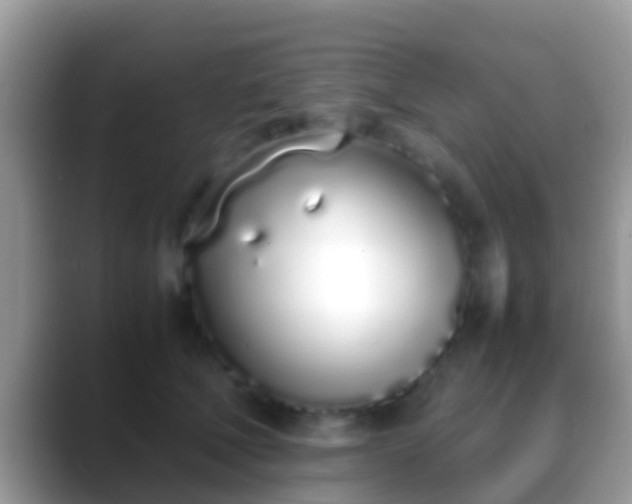 X0000088640610200706011204