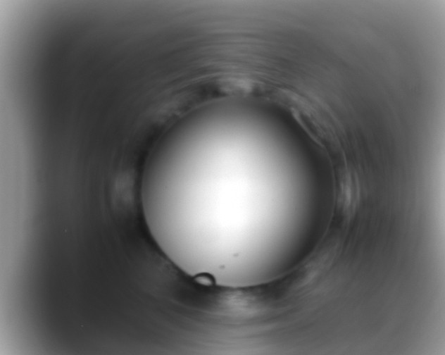 X0000088640616200706011204