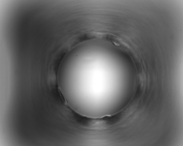 X0000088640617200706011204