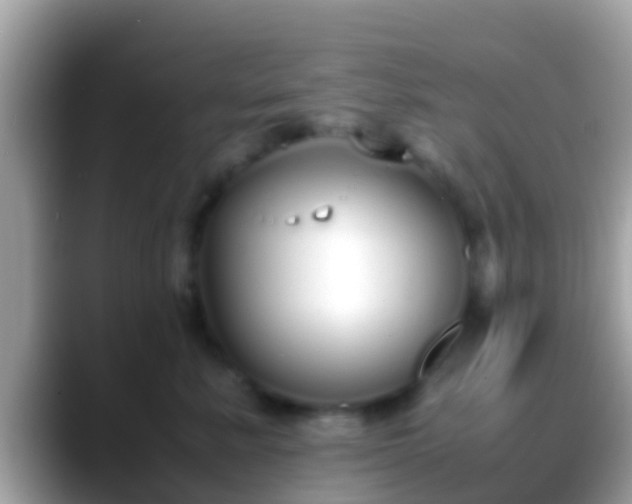 X0000088640619200706011204