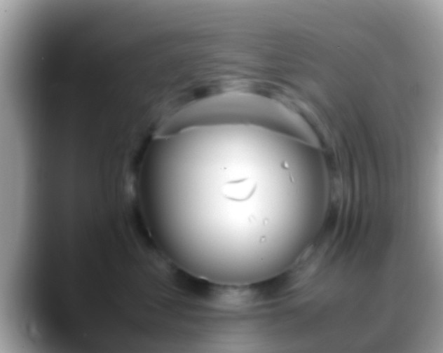 X0000088640621200706011204