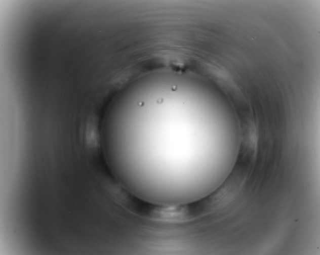 X0000088640622200706011204