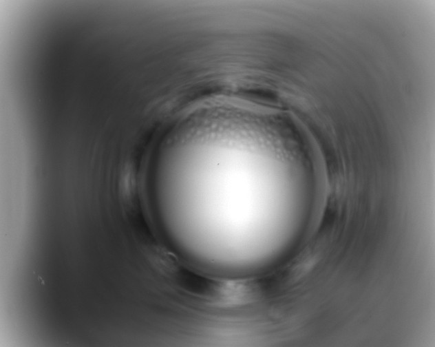 X0000088640623200706011204