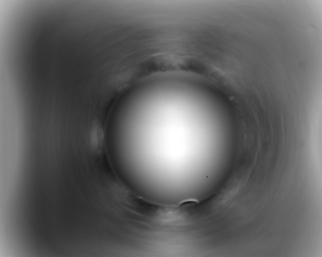 X0000088640624200706011204
