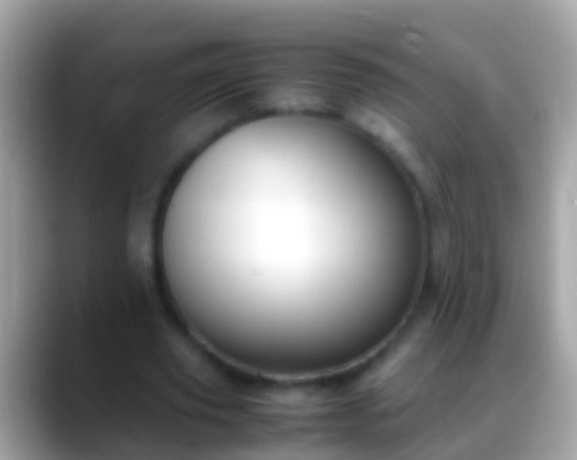 X0000088640629200706011203