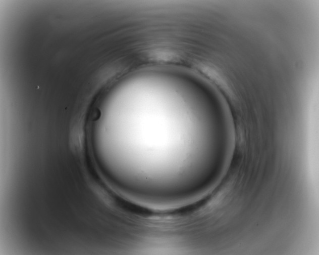 X0000088640630200706011203