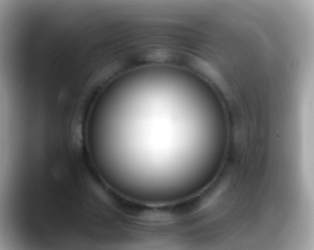 X0000088640633200706011203