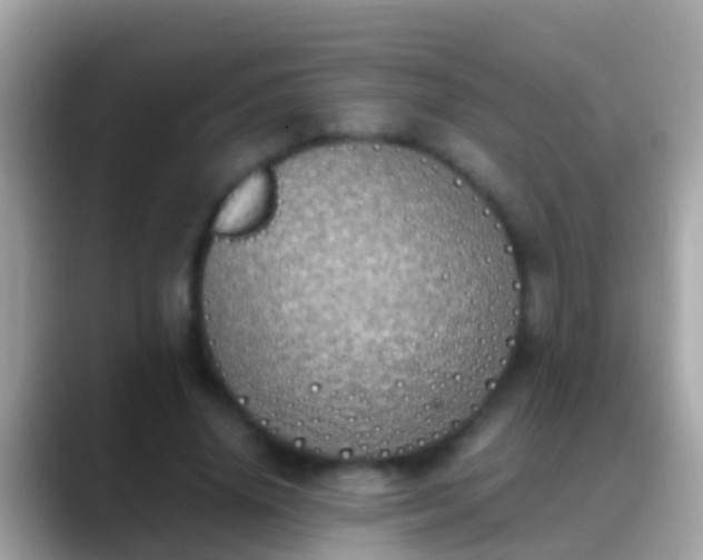 X0000088640636200706011203