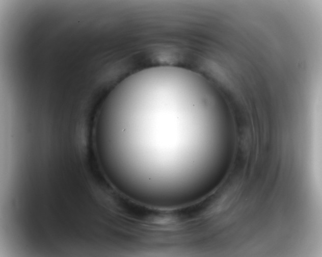 X0000088640639200706011203