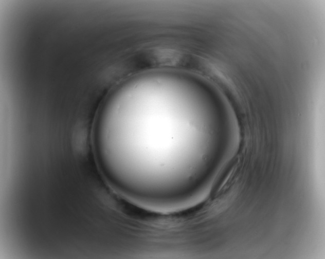 X0000088640641200706011204