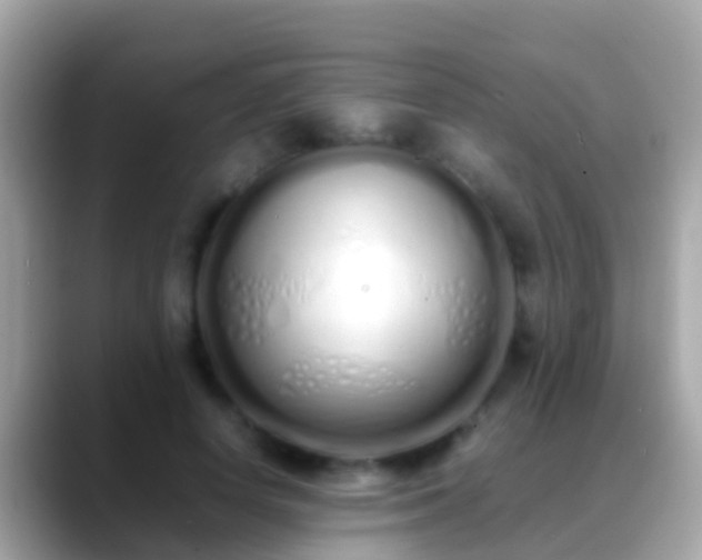 X0000088640642200706011204