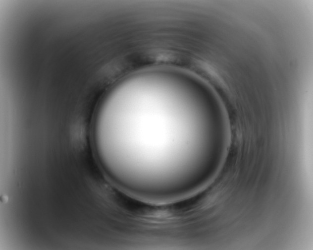 X0000088640643200706011204