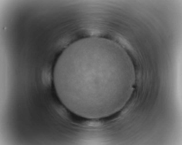 X0000088640644200706011204