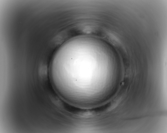 X0000088640646200706011204