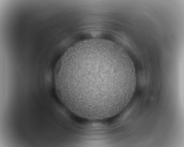 X0000088640650200706011204
