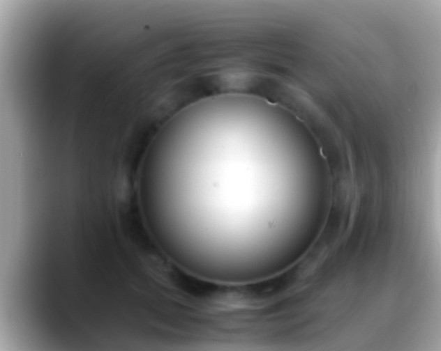 X0000088640655200706011204