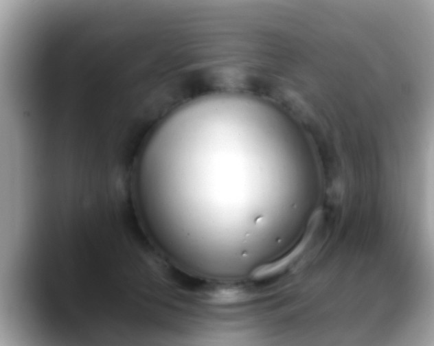 X0000088640658200706011204