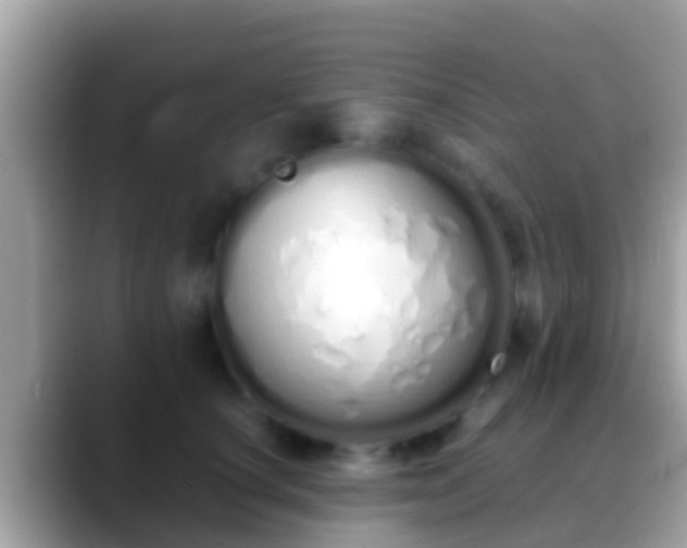 X0000088640660200706011204