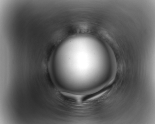 X0000088640661200706011204