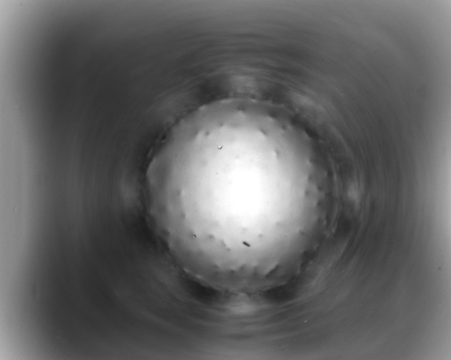 X0000088640663200706011204