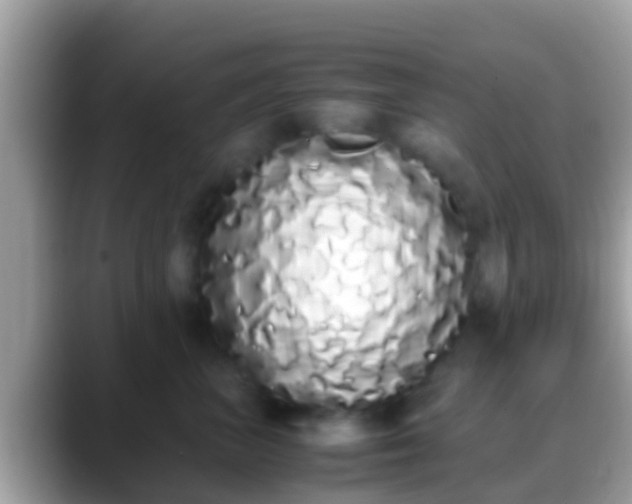 X0000088640667200706011204