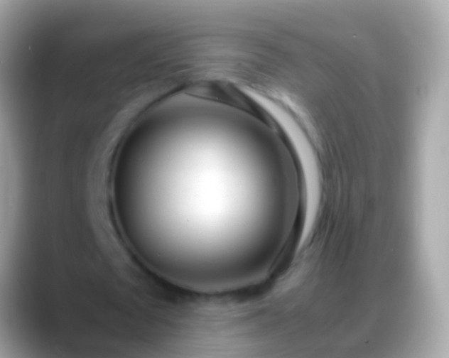 X0000088640673200706011203